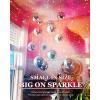 image22 Pcs Reflective Mirror Disco Balls with 10m Fishing Line  Assorted Hanging Mini Silver Balls for Light Effects Wedding 70s Party Dance Prom Decor