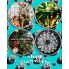 imageYoudepot Disco Ball 4quot Inch 2PackSilver Hanging Ball with Attached String for RingReflects LightFun Party Home Bands DecorationsParty Favor